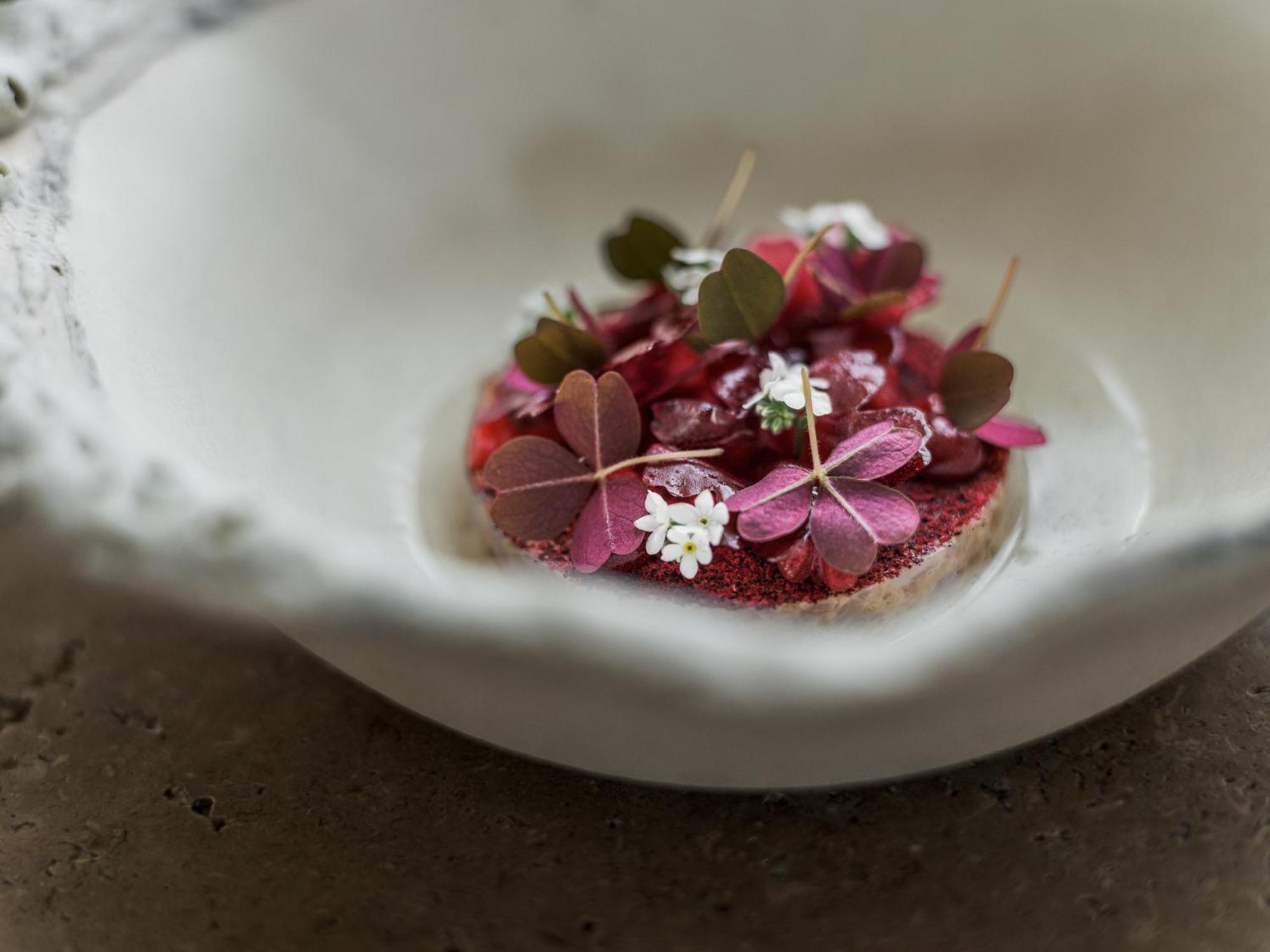 Botanic Sanctuary Antwerp - The Leading Hotels Of The World Экстерьер фото A dish at Noma